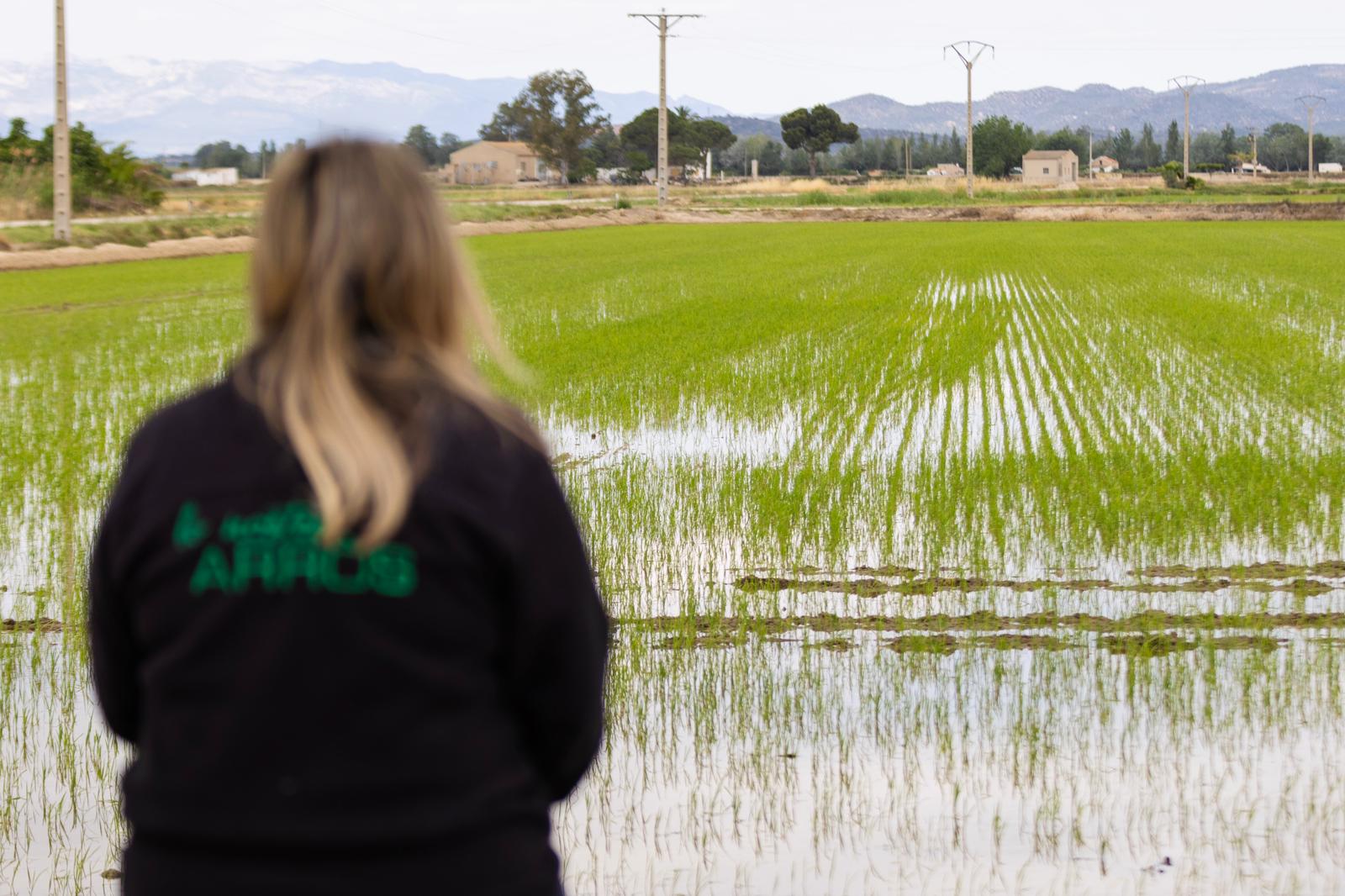 Visita Guiada al molino