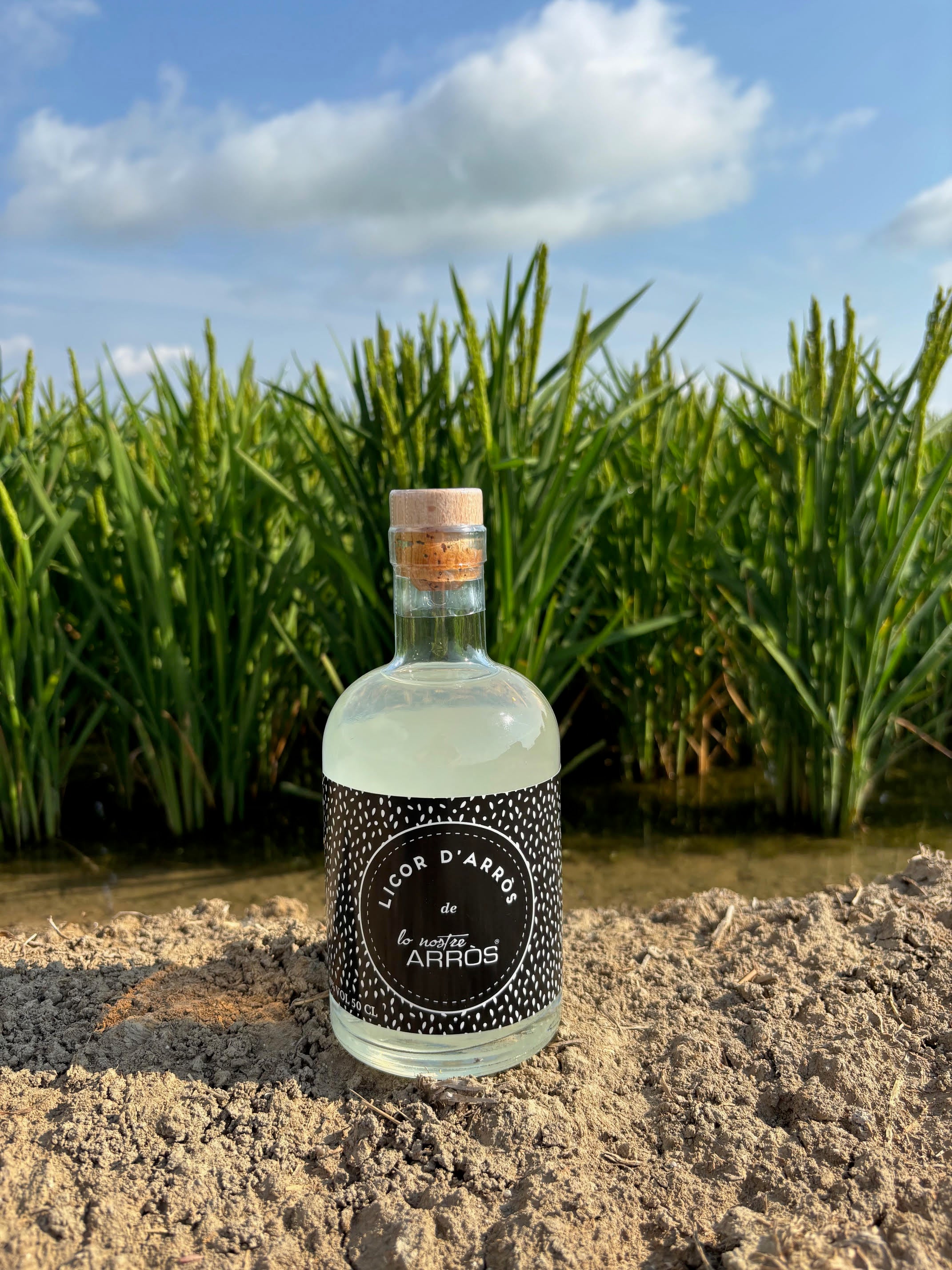 Licor de arroz