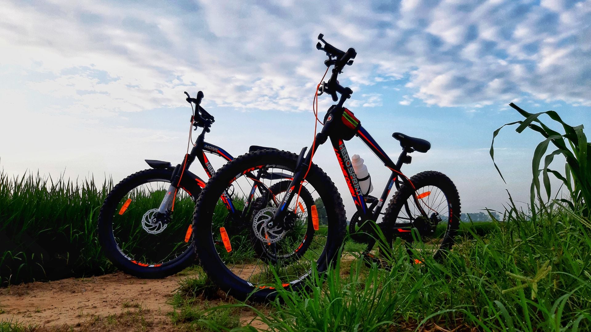 Ruta en bicicleta por los arrozales y visita al Molino