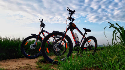 Ruta en bicicleta por los arrozales y visita al Molino
