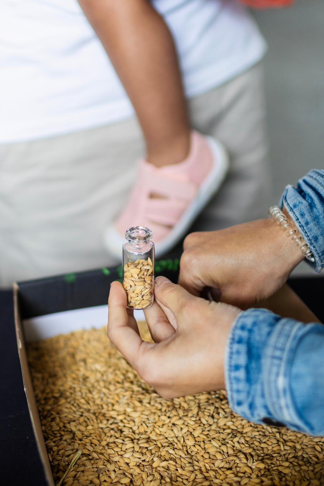 Visita Guiada al molino