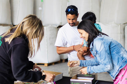 Visita Guiada al molino