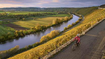 Ruta en bicicleta por los arrozales y visita al Molino